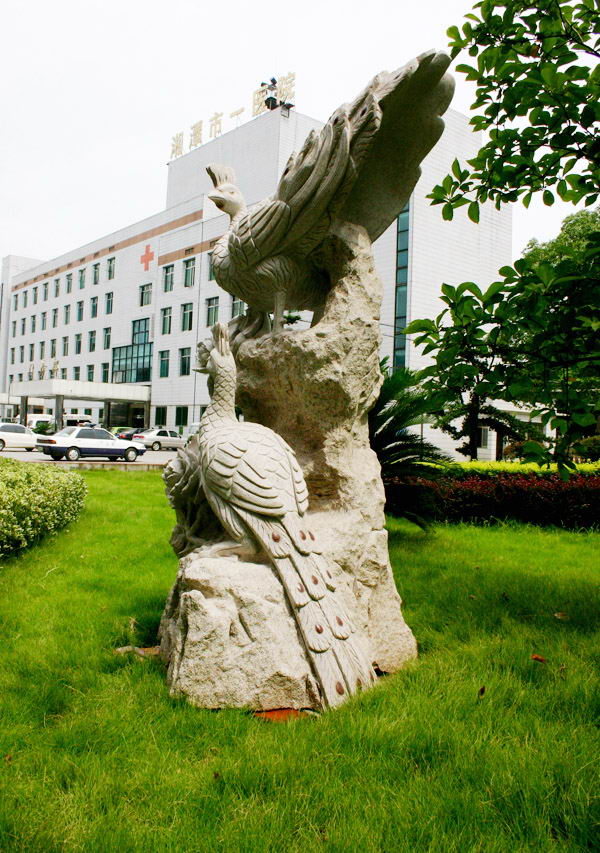 湘潭市第一人民医院景观欣赏